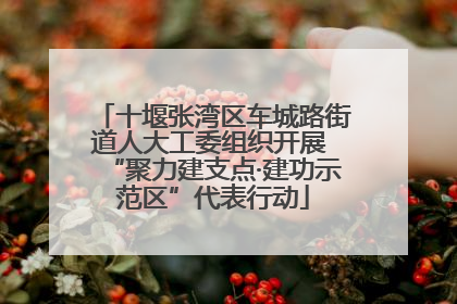 十堰张湾区车城路街道人大工委组织开展 “聚力建支点·建功示范区”代表行动